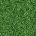 QUILTING TREASURES - Mystique