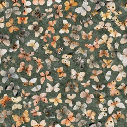 Butterflies - PINE