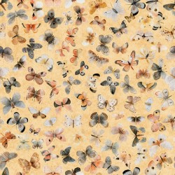 Butterflies - MELON
