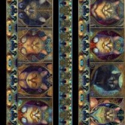 Cat Border Stripe - MULTI