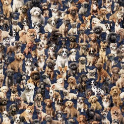 Pack Of Puppies - DENIM