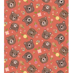 Bear Faces - DK CORAL