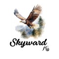 QUILTING TREASURES - Skyward
