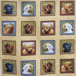 DOGS