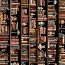 Bookshelf Border Stripe - MULTI