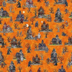 Haunted Houses - ORANGE