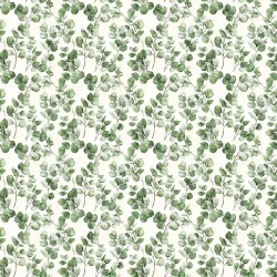 Eucalyptus - EGGSHELL