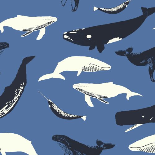 Avalana Sweat Brushed 160cm Wide Whales - BLUE