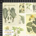 STOF - Herbarium