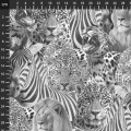 STOF - Wild Spirit