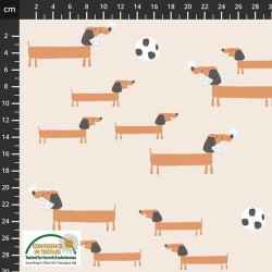 Avalana Sweat Knit (60" wide) Sausage Dog - BEIGE