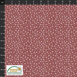 Multi Stars - TERRACOTTA