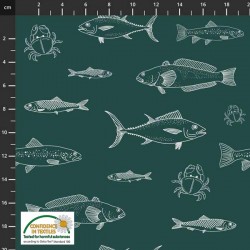 Avalana Jersey Knit 160cm Wide Fish - TEAL
