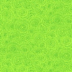 Quilters Coordinate - LIME