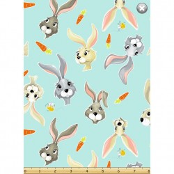 Hares & Carrots - AQUA