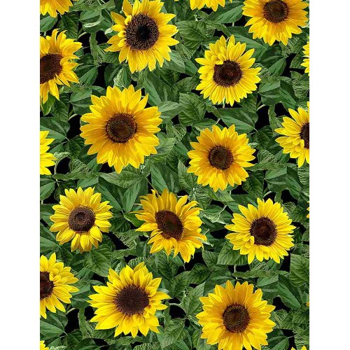 Sunflowers - BLACK