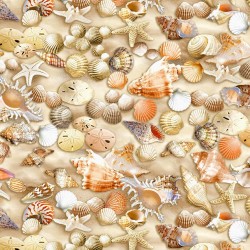 Seashells - MULTI
