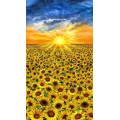 TIMELESS TREASURES - Sunflower Sunset