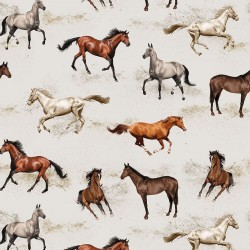 Horses - CREAM