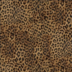 Leopard - LEOPARD