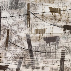 BARBED WIRE WITH COWS - FOG