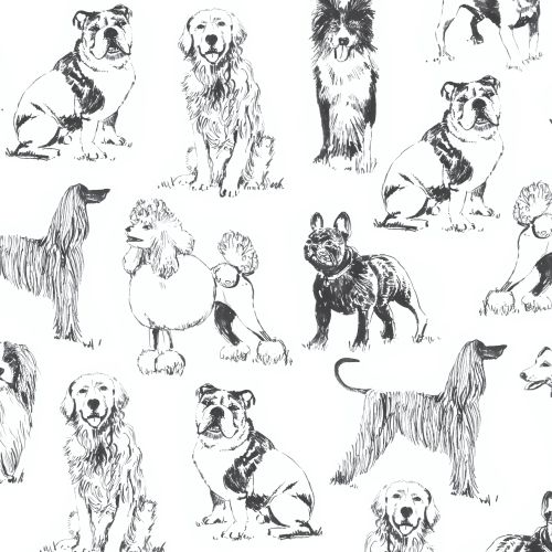 Sketched Realistic Dogs - BLACK
