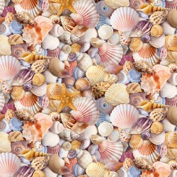 Packed Beach Shells - MULTI