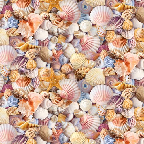 Packed Beach Shells - MULTI