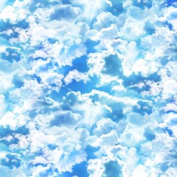 SKY-BLUE/WHITE