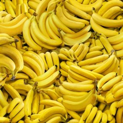 Digital - Packed Bananas - YELLOW