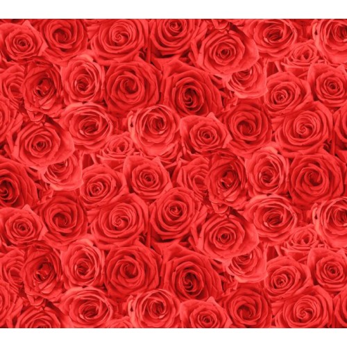 108" Wideback (Digital) - Roses-RED