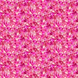 Rose petals - FUCHSIA