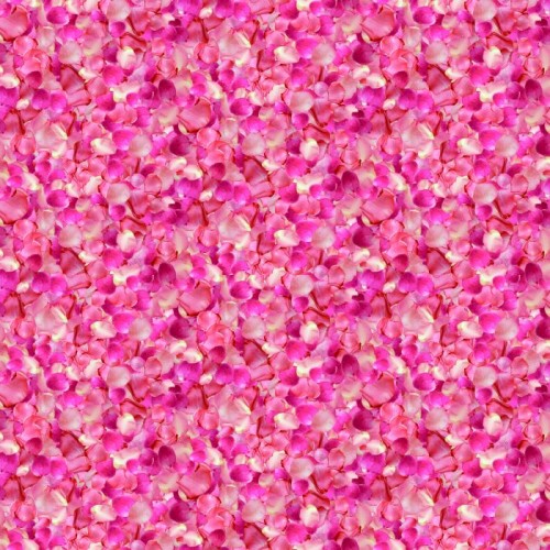 Rose petals - FUCHSIA