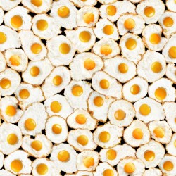 Eggs - WHITE