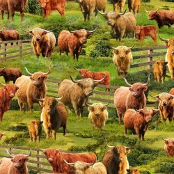 Highland Cows - BROWN/GREEN