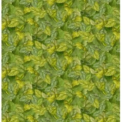 Packed Sunflowers Leaves - GREEN