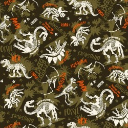 Dinosaurs Skeletons - CAMO