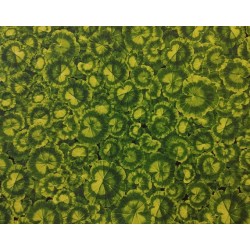 GERANIUM LEAVES - BLACK