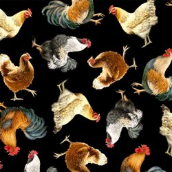 Chickens - MULTI