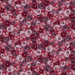 Digital - Pansies-MULTI