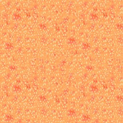 Digital - Painted Little Dots - SALMON