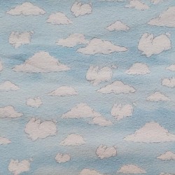 Flannel Sky - SKY