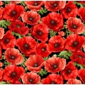 Timeless Treasures - Poppy Passion