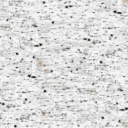 Birch Tree Texture (Digital) - NATURAL