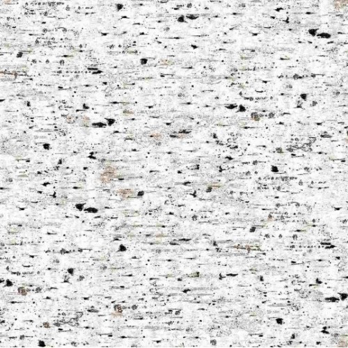 Birch Tree Texture (Digital) - NATURAL