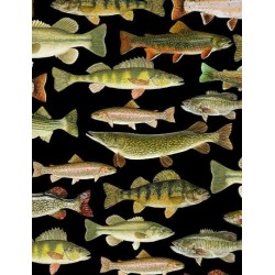 Fish (Digital) - BLACK