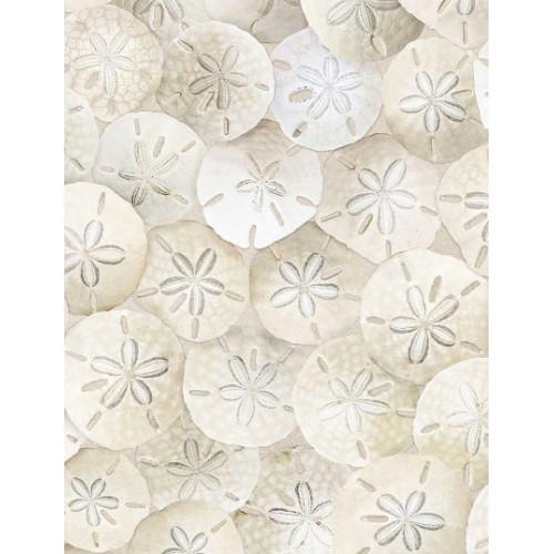 Packed Sand Dollars on Beach (Digital) - SAND