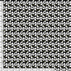 Black Cats - WHITE