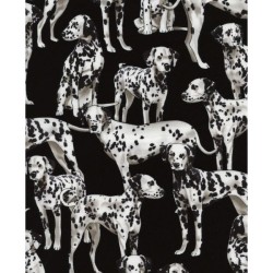 Dogs - Dalmatians - BLACK