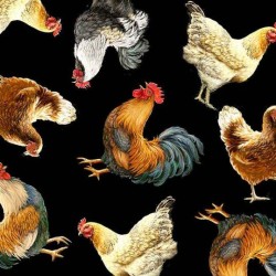 Chickens - MULTI